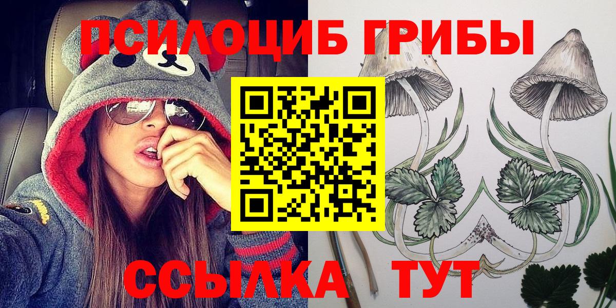 Псилоцибиновые грибы Magic Shrooms  Вход с VPN  Галлюциногенные грибы Magic Shrooms  Тюмень 